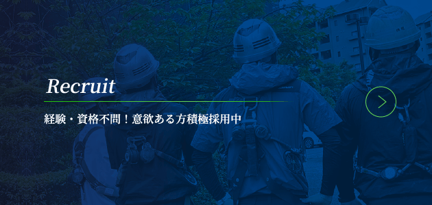 採用情報